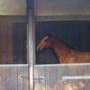 Zusammen_2_047_thumb