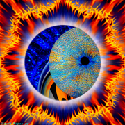 Peekaboo_eclipseforweb_card