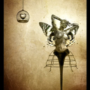 Scream-8_web_card