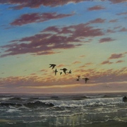 Ganzen_in_de_vlucht_avondzon_card