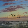 Ganzen_in_de_vlucht_avondzon_thumb