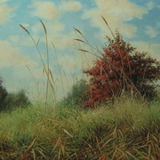 Nazomer15_a_card