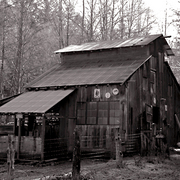 Oldoregonbarn_edited-1_card