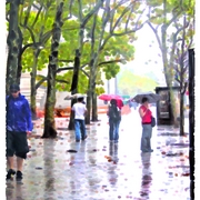 Dscn5520_b1a_card
