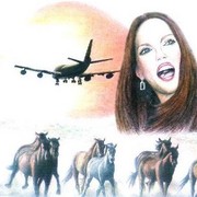 Travel2_card