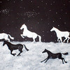 Stallions_of_the_night_thumb