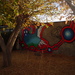 Pajarito10_square