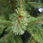 Cimg7790_card
