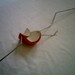 80q90079_square