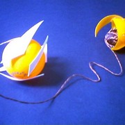 39f54d46_card