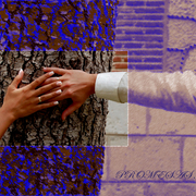 35380200_copia_card