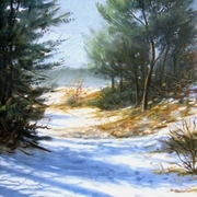 Schoorlse_duinen