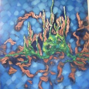 Reflections_2_card