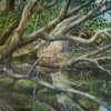 Donkere_duinen_1_thumb