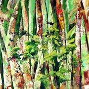 Floresta_amaz_nica_ii_card