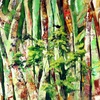 Floresta_amaz_nica_ii_thumb