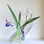 Ikebana-124_card
