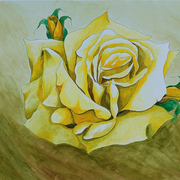 Spring_bud_s_3_card