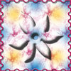 Flower-pearl_thumb