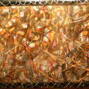 2008-01-30_02-23-48_0003_resize_card