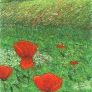 K_pia___img_7734_card