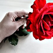 3507912499_4956f24d80_o_card