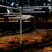 Essex-tree-sculpturefin_card