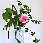 Ikebana-125_card