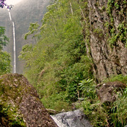 P5032595_card