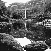 P5022569_card