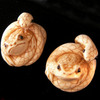 Snake_charmer_snake_frog__thumb