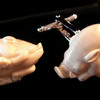 Boar_thumb