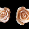 Rose_thumb