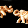 Running_elephant_thumb