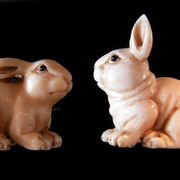 Happy_rabbit_card