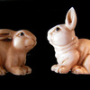 Happy_rabbit_thumb