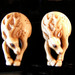 Giraffe_square