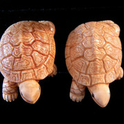 Big_turtles_card