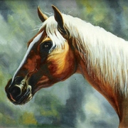 Cavalo_card