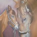 P1010040__1056_x_1408__square