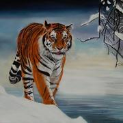 Tiger_05_fertig_card