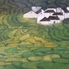 Terrace_thumb
