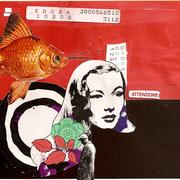 Attenzione_card