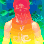 Die_turtle__themiracle5_200_card