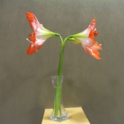 Cimg0169_card