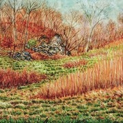 Early_spring_hillside_card