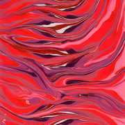 Img098_card