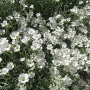 Img_0108_card