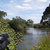 1219-jungle_comfort_tiny_square