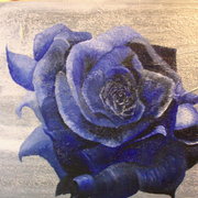 Sany0150_card